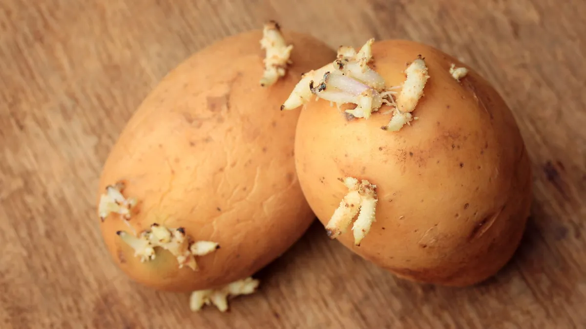 Ein einfacher Trick, um Kartoffeln länger frisch zu halten